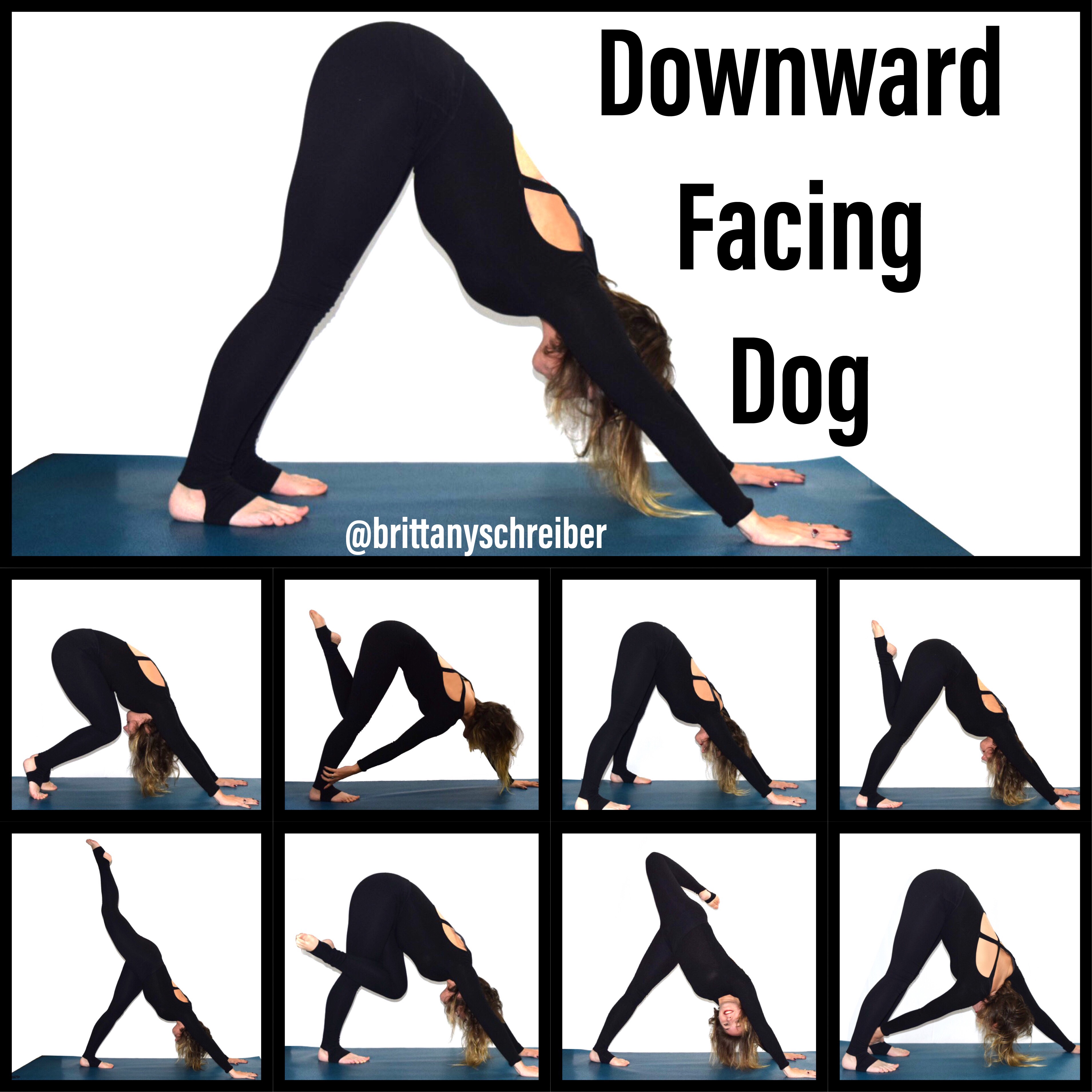 Downward Facing Dog Poses – 10 New Ways To Do Downward Dog - Brittany  Schreiber