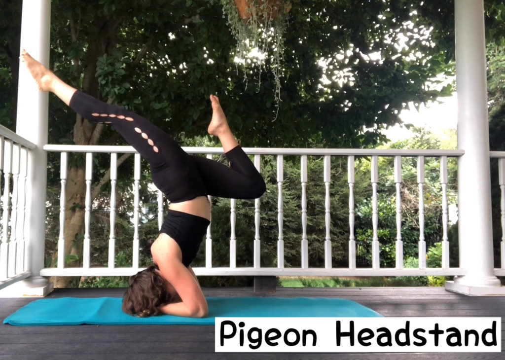 Headstand, Sirsasana II - Yoga Lily | Yoga Tai Chi Qigong Wellness